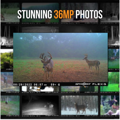SPYPOINT FLEX-S Solar Outdoor Cellular Trail Camera - Integrated Solar Panel, No WiFi Needed, Hunting & Game Camera with Night Vision Motion Activated, Dual-Sim LTE, 36MP Photos, 1080p Videos + Sound