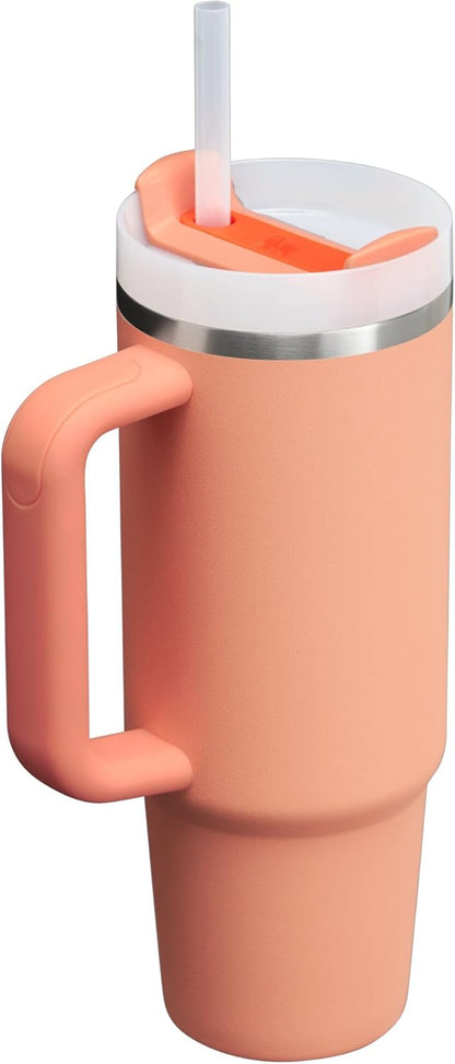STANLEY Quencher H2.0 Tumbler - 30 oz Insulated Stainless Steel Cup with Handle & Straw | Nectarine