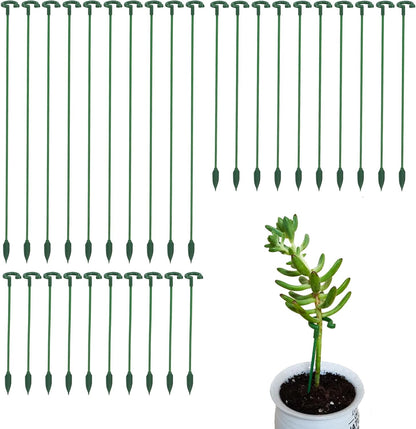Small Plant Stakes by [Brand Name] - Pack of 30 Indoor Plant Support Stakes | 3 Sizes for Orchids, Roses & Succulents