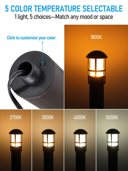LEONLITE Landscape Pathway Lights, 3W Low Voltage, IP65, Aluminum, 5CCT, Model A-90883, Pack of 6