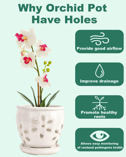 vensovo 5 Inch Ceramic Orchid Pots with Holes and Saucers - 1 Pcs Small Succulent Pot for Repotting, Garden Flowerpots for Plants Indoor and Outdoor Promotes Air Circulation, White