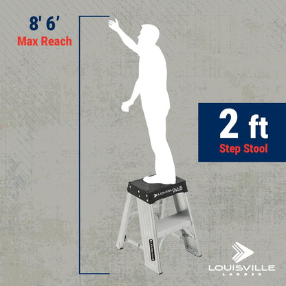 Louisville Ladder 2-Foot Aluminum Step Stool Industrial, 375-Pound Load Capacity, Type IAA, AY8002