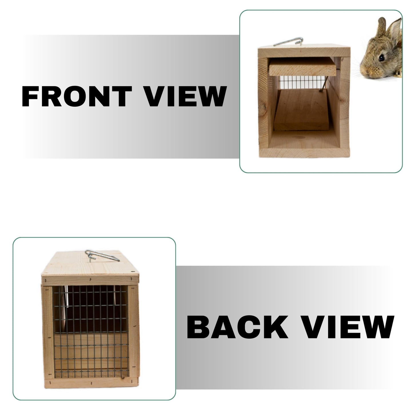 WCS Wooden Rabbit Trap, 24" Humane Live Capture Box Trap for Rabbits & Skunks – Wire-Shy Rabbit Solution, Professional-Grade 3/4" Pine Construction