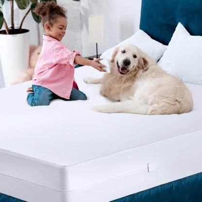 Utopia Bedding Mattress Protector - 100% Waterproof Twin Size Encasement | Pack of 2, Bed Bug & Dust Mite Proof