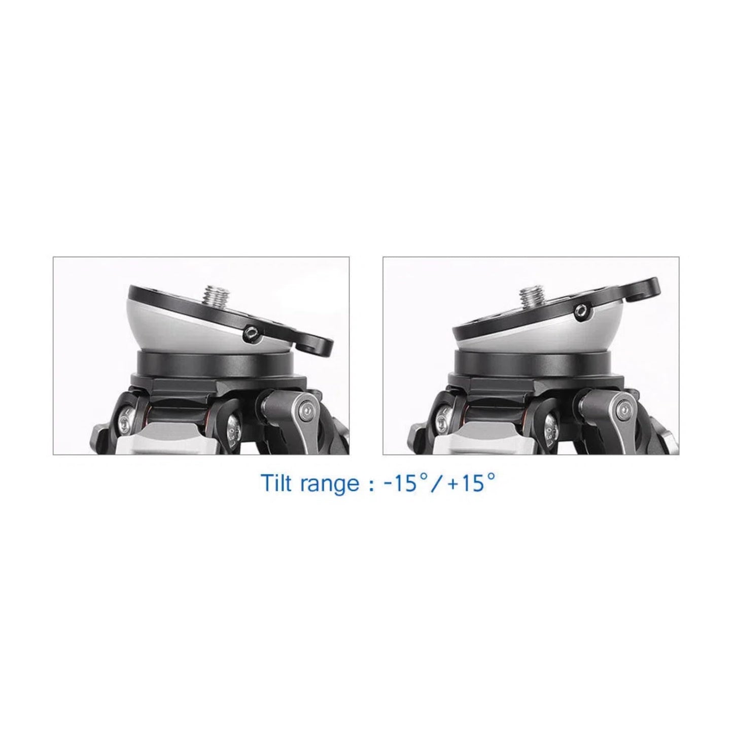 Leofoto LS-284CEXX Travel Tripod w/Built-in Leveling Head, Ranger Series, Carbon Fiber, 4 Leg Sections, Lightweight, Ball Head Optional (Tripod w/ 36mm Ball Head)