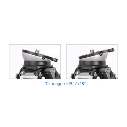 Leofoto LS-284CEXX Travel Tripod w/Built-in Leveling Head, Ranger Series, Carbon Fiber, 4 Leg Sections, Lightweight, Ball Head Optional (Tripod)