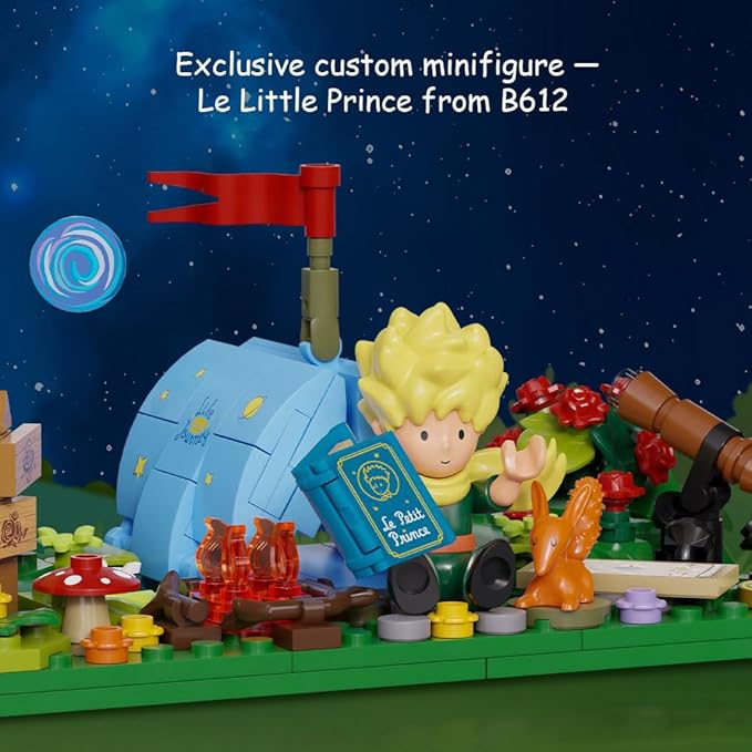 PANTASY The Little Prince Suitcase Building Blocks Set Construct Create Play Building Kit for Adults Home and Office