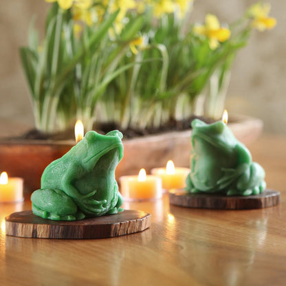 Big Dipper Wax Works Beeswax Frog Candle – Green, Hand-Sculpted Pure Beeswax, 2.5” x 3.5”, 24-Hour Burn, Eco-Friendly Unscented Candle, Whimsical Nature-Inspired Spring Décor