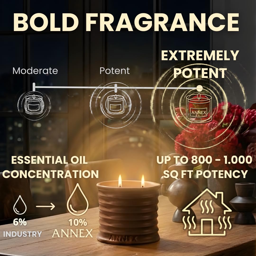 Annex Tobacco, Vanilla & Amber Luxury Scented Candle - 8oz Handmade Ceramic Jar Candle - 50hr Clean Burn, 100% Non-Toxic Soy Wax, Aesthetic Home Decor Winter Gift for Men & Women - Oud & Sandalwood