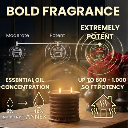 Annex Tobacco, Vanilla & Amber Luxury Scented Candle - 8oz Handmade Ceramic Jar Candle - 50hr Clean Burn, 100% Non-Toxic Soy Wax, Aesthetic Home Decor Winter Gift for Men & Women - Oud & Sandalwood