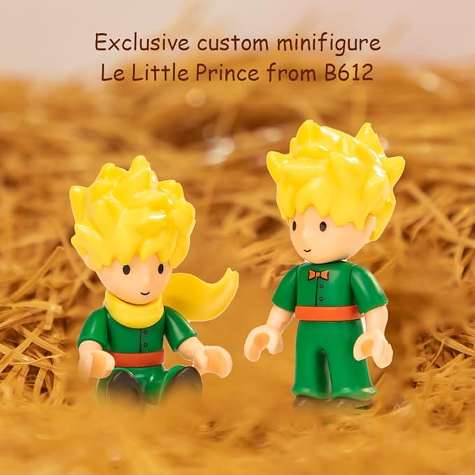 PANTASY The Little Prince Hourglass Building Blocks Set Construct Create Play Building Kit for Adults Home and Office