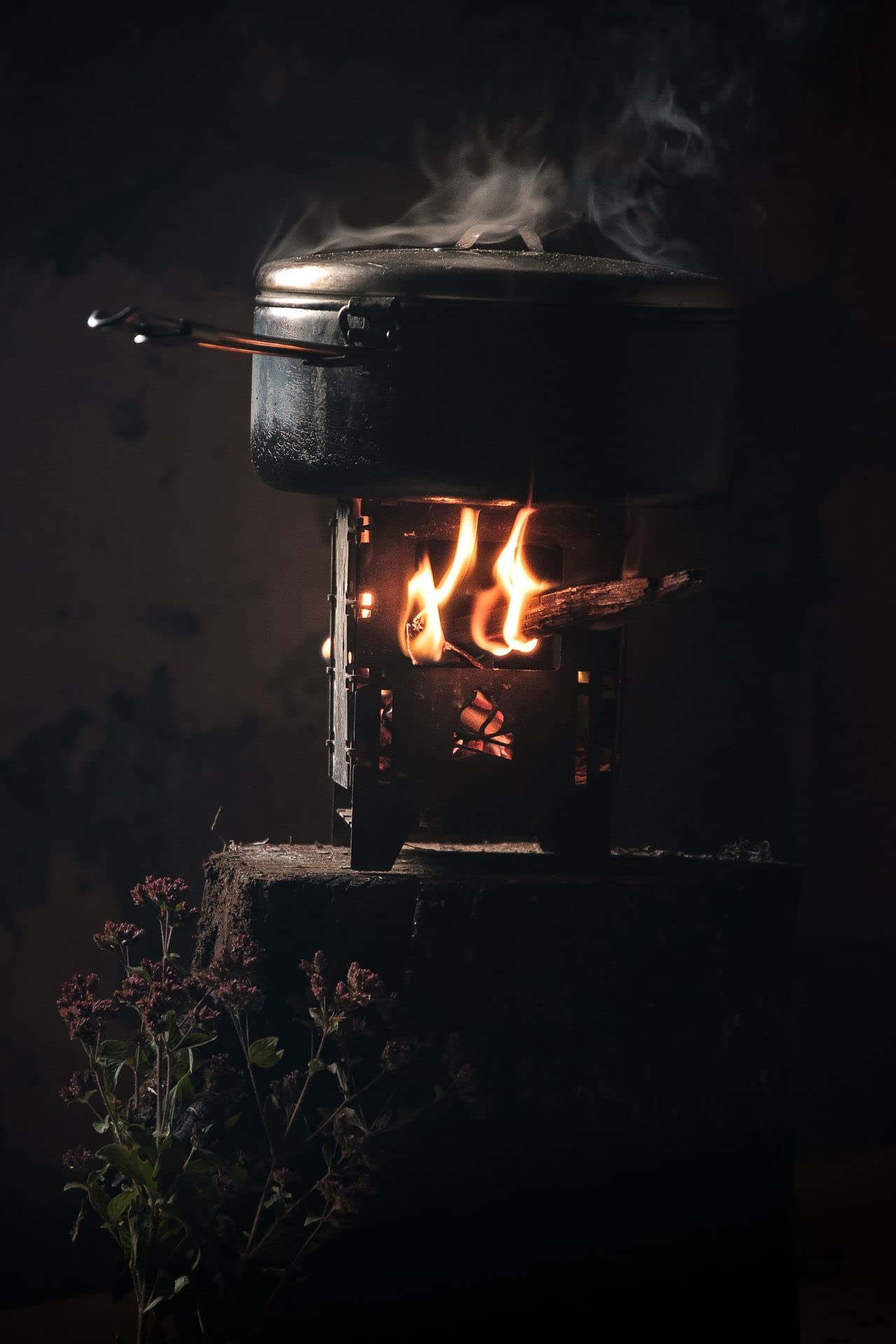 Outdoor Stove Bushbox LF Titanium