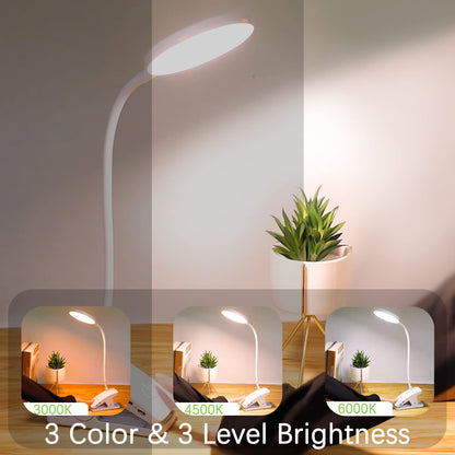 SUNLONG Indoor/Outdoor Lighting Bundle - Rechargeable Clip-On Reading Light with 3 Color Modes + Solar Flood Security Light with 16.4Ft Cable, Waterproof LED Lights for Bedroom, Desk, Yard, Courtyard