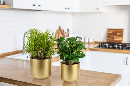 Vixdonos Large Gold Planters Metal Aloe Brass-Tone Plant Pots Indoor Decorative Flower Pots with Drain Holes(8+7.1Inch)
