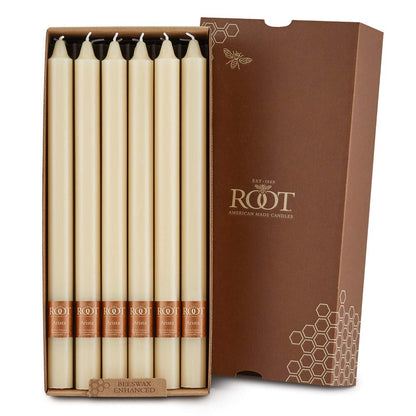 Root Candles Unscented Dinner Candles Premium Beeswax Blend Boxed Candle Set - Arista Smooth, 12-Inch, Buttercream, 12-Count