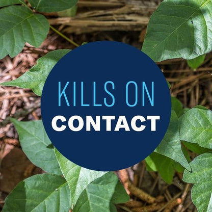BioAdvanced Brush Killer Plus - Ready-to-Use 1.3 Gal | Effectively Kills Poison Ivy & Tough Brush Roots | Pack of 2