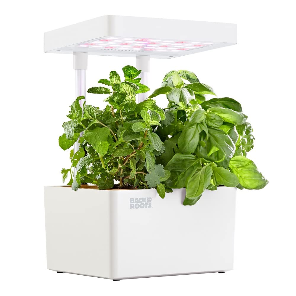 Back to the Roots v1.0 Hydroponic Grow Kit, 2022 Model