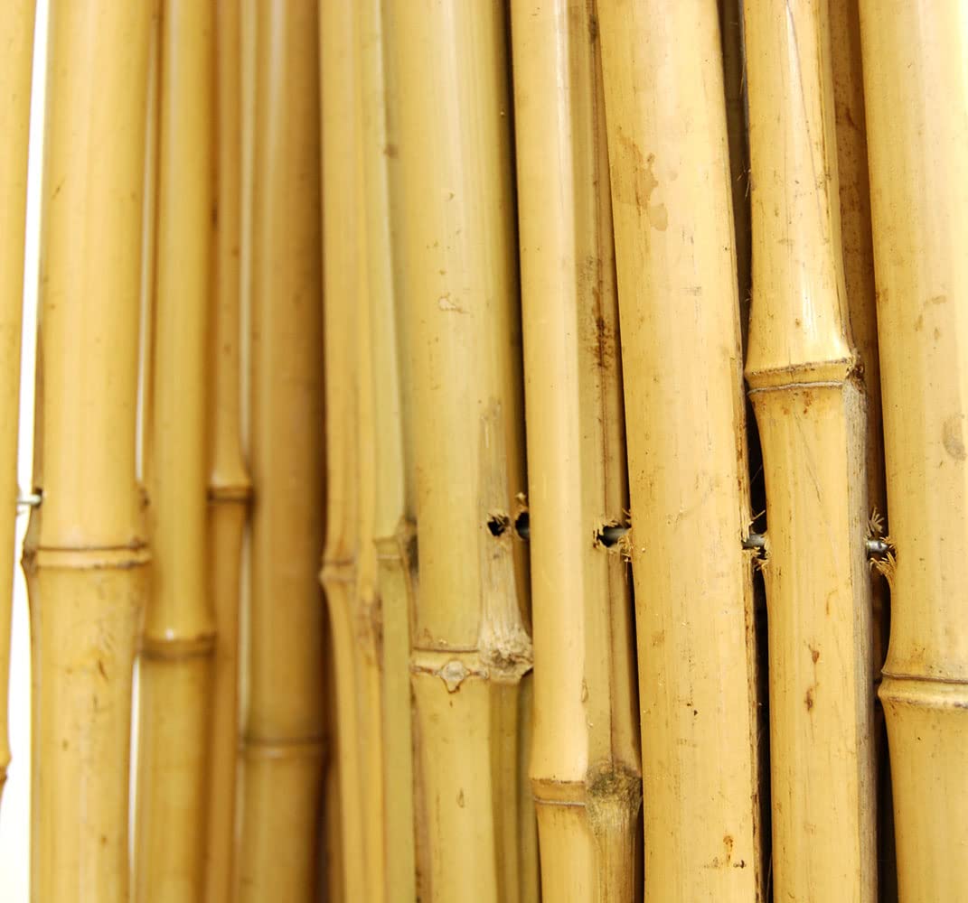 FOREVER BAMBOO Natural Bamboo Fencing Decorative Rolled Fence Panel 0.75 in D x 6 ft H x 8 ft L