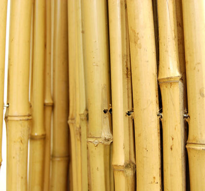FOREVER BAMBOO Natural Bamboo Fencing Decorative Rolled Fence Panel 0.75 in D x 6 ft H x 8 ft L