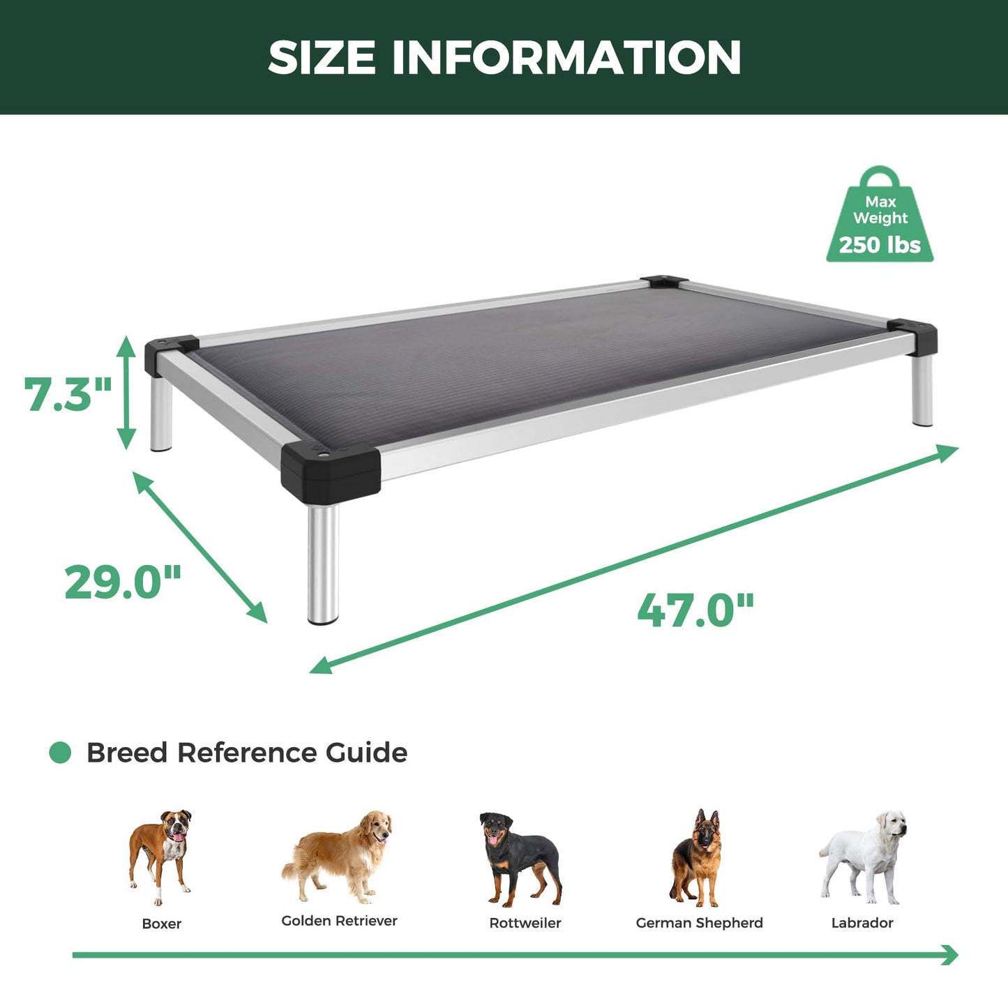FXW TitanNest Chew-Proof Elevated Dog Bed, Raised Cot for Indoor/Outdoor/Camping Use, Durable & Washable Padded Pet Bed for Large Dogs, 47.0" L x 29.0" W x 7.3" H, Gray