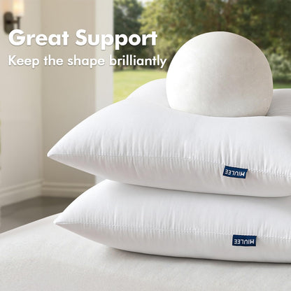MIULEE Outdoor Pillow Inserts - Water-Resistant Decorative Throw Pillows | Pack of 2, 12x12 Inches