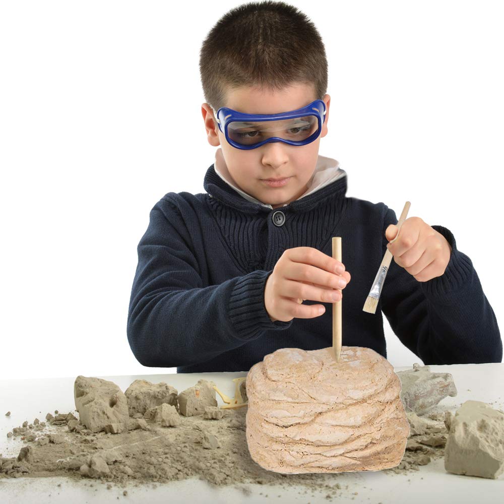 ArtCreativity Dinosaur Excavation Kit for Kids, 5.5” Triceratops Skull Excavating Set with Fossil Digging Tools and Stand, Fun Science Activity Toy, Educational Dinosaur Gift for Boys and Girls