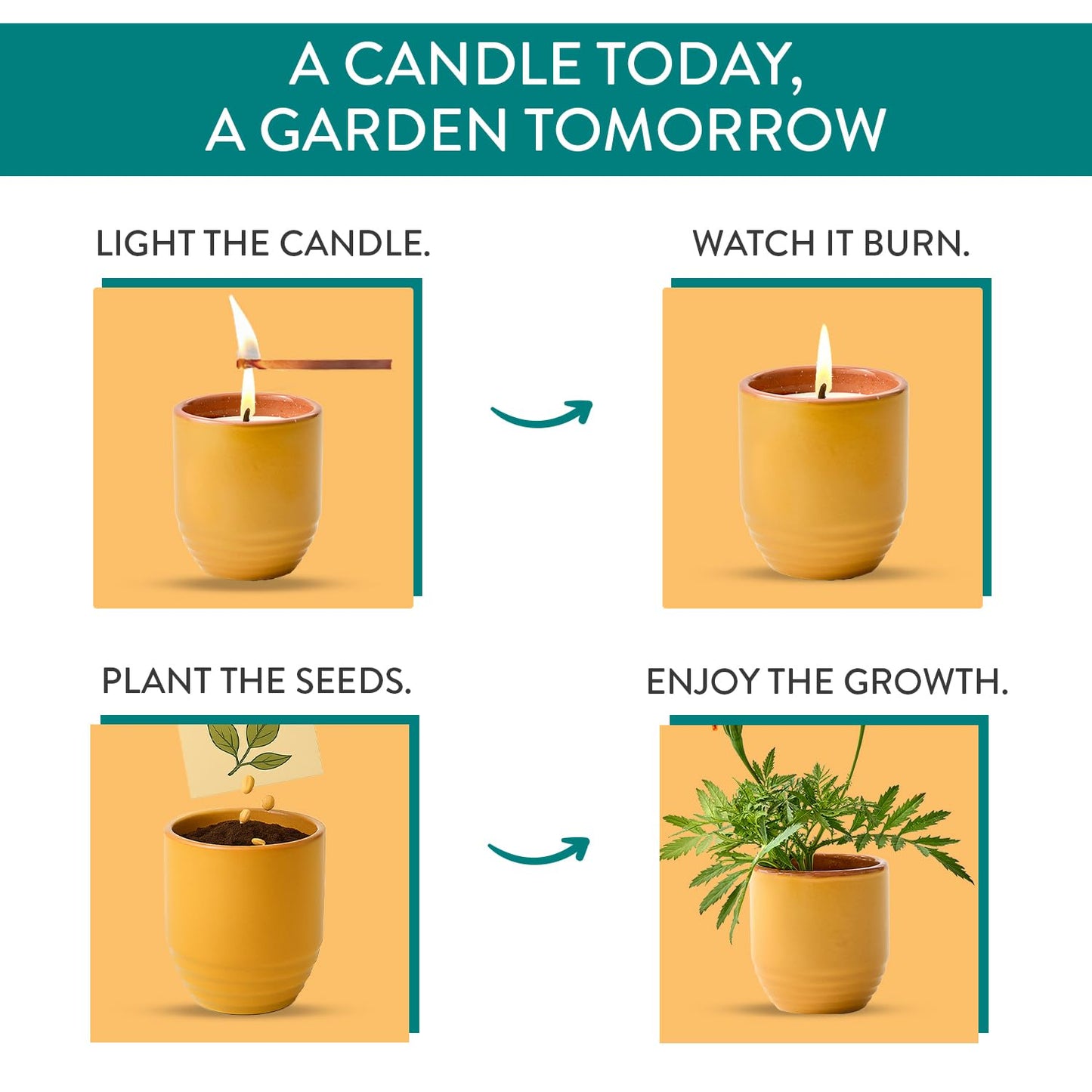 Modern Sprout - 2-in-1 Soy Candle & Planter - Last Light (Bug-Repelling Citronella, Rosemary, Cedarwood, Mint) 6 Oz Scented Candle with Marigold Seeds - Dual Purpose Jar - 38-40 Hour Burn