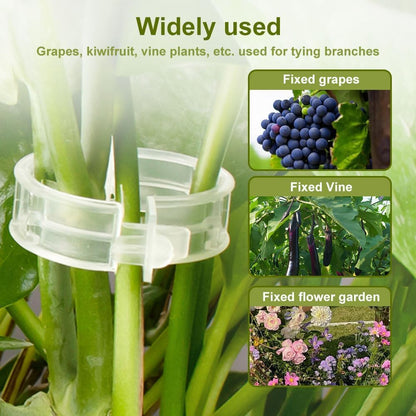 Plant Support Clips - Reusable Tomato Clips for Trellis | 50 Green Plastic Garden Clips for Indoor & Outdoor Use