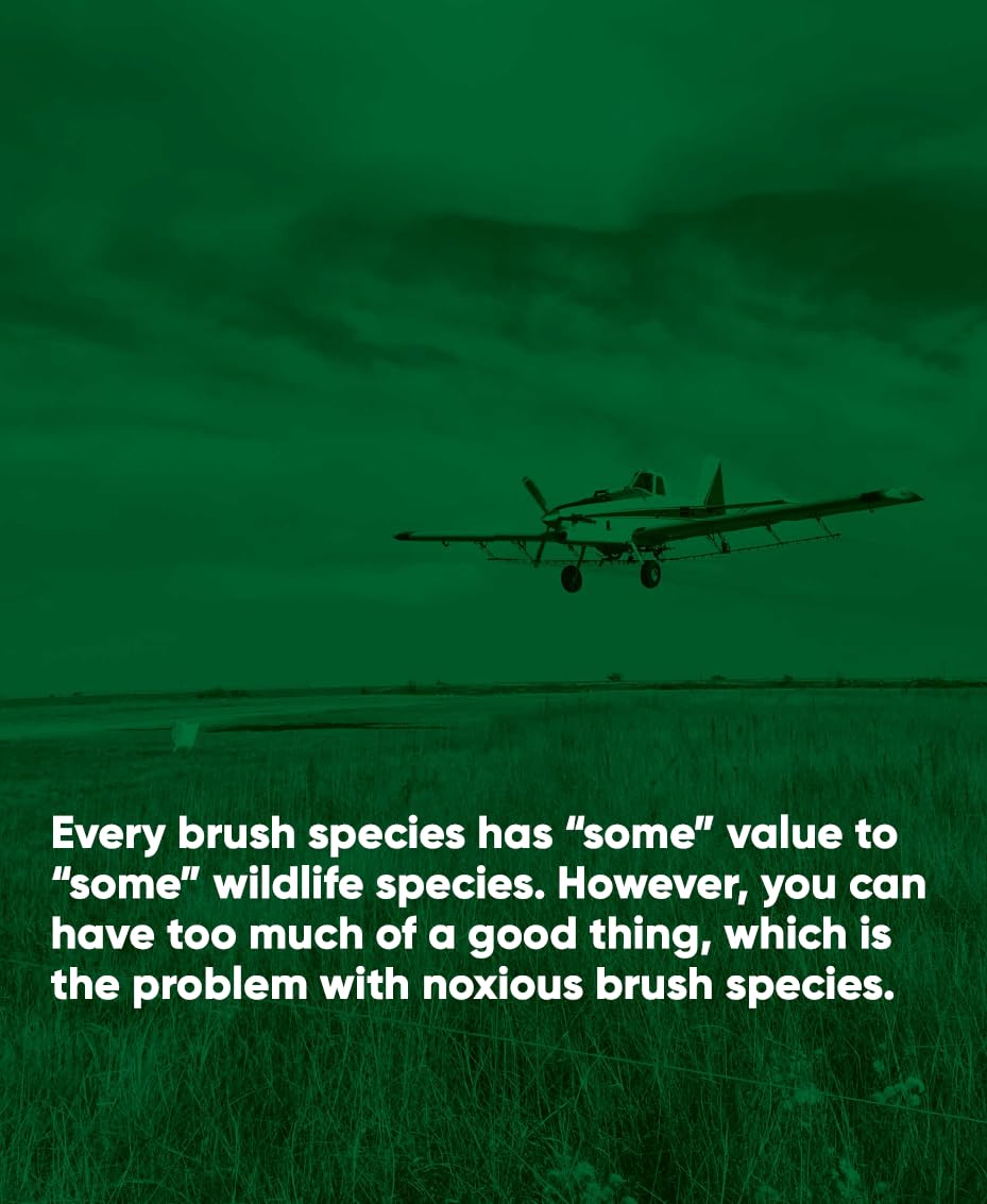 Remedy Herbicide Concentrate - Triclopyr Brush & Broadleaf Weed Control - 1 Quart for Pastures & Rangelands