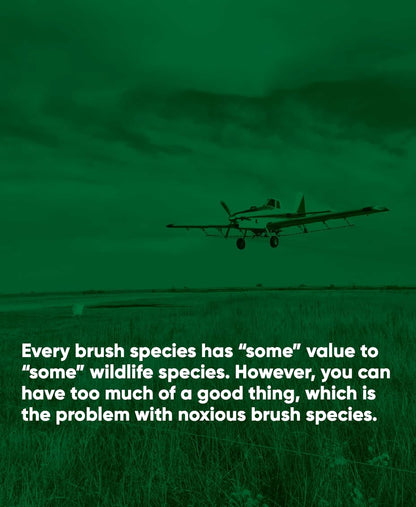Remedy Herbicide Concentrate - Triclopyr Brush & Broadleaf Weed Control - 1 Quart for Pastures & Rangelands