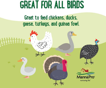 Manna Pro Beetle Bliss Poultry Treat - All-Natural Mealworm & Beetle Blend - 25oz, 45% Protein for Chickens & Ducks