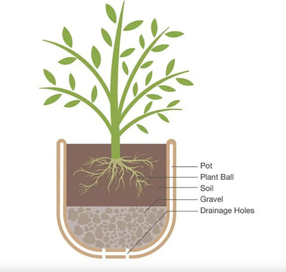 19.9 Inch Rustic Whiskey Barrel Planter - Durable Lightweight Plastic Plant Pot with Easy Knock-Out Drainage Holes, Indoor/Outdoor Barrel Planter for Outdoor Plants