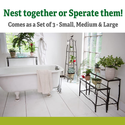 Gardener's Supply Company 3 Tier Plant Stand | Decorative Metal & Tempered Glass Ladder Shelf | Best For Living Room, Patio & Balcony