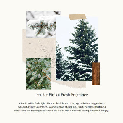 Thymes Frasier Fir Candle – Frosted Plaid Collection – Green & White Glass Jar Design – Scented Candles for Home Decor – Notes of Crisp Siberian Fir, Cedarwood & Sandalwood (Votive, 2 oz)