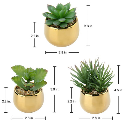 Briful Small Artificial Succulents in Pots Set of 3 Realistic Faux Succulents Plants with Gold Ceramic Pots Cute Mini Fake Plants Decor for Modern Home Table Office Desk Bathroom Shelf Decoration