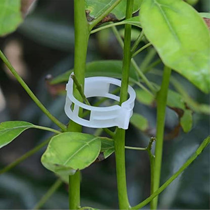 Skiennix Plant Support Clips - 100PCS Garden Clips for Tomatoes, Vines & Twine - Durable Fastening Tools