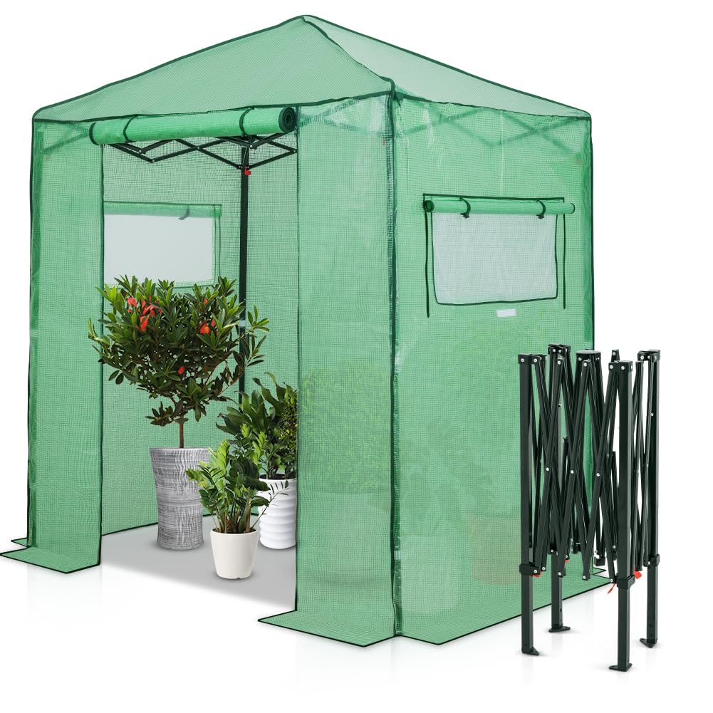 EAGLE PEAK 6x4 Portable Walk in Greenhouse, Pop Up Indoor Outdoor Greenhouse, Green House Kit with Zippered Roll-Up Doors and Windows, PE Cover, Clear/Green