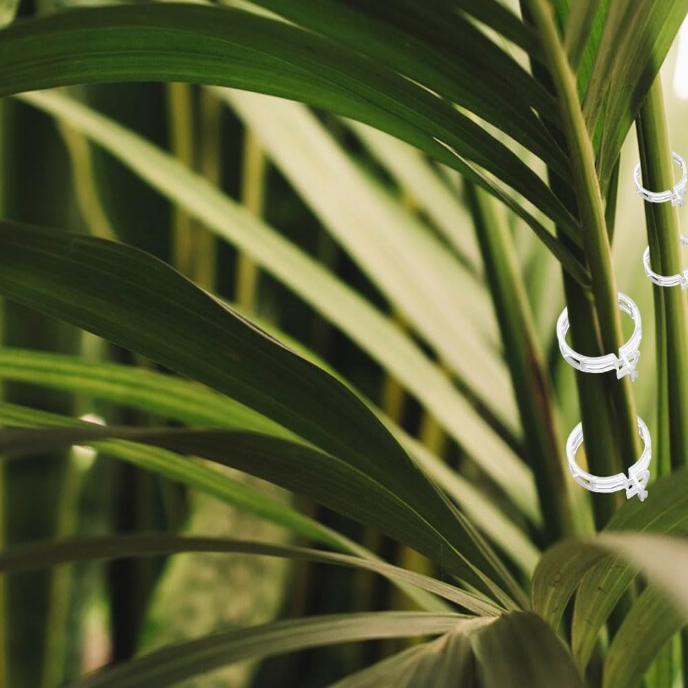 Plant Support Clips - Reusable Tomato Clips for Trellis | 50 Green Plastic Garden Clips for Indoor & Outdoor Use