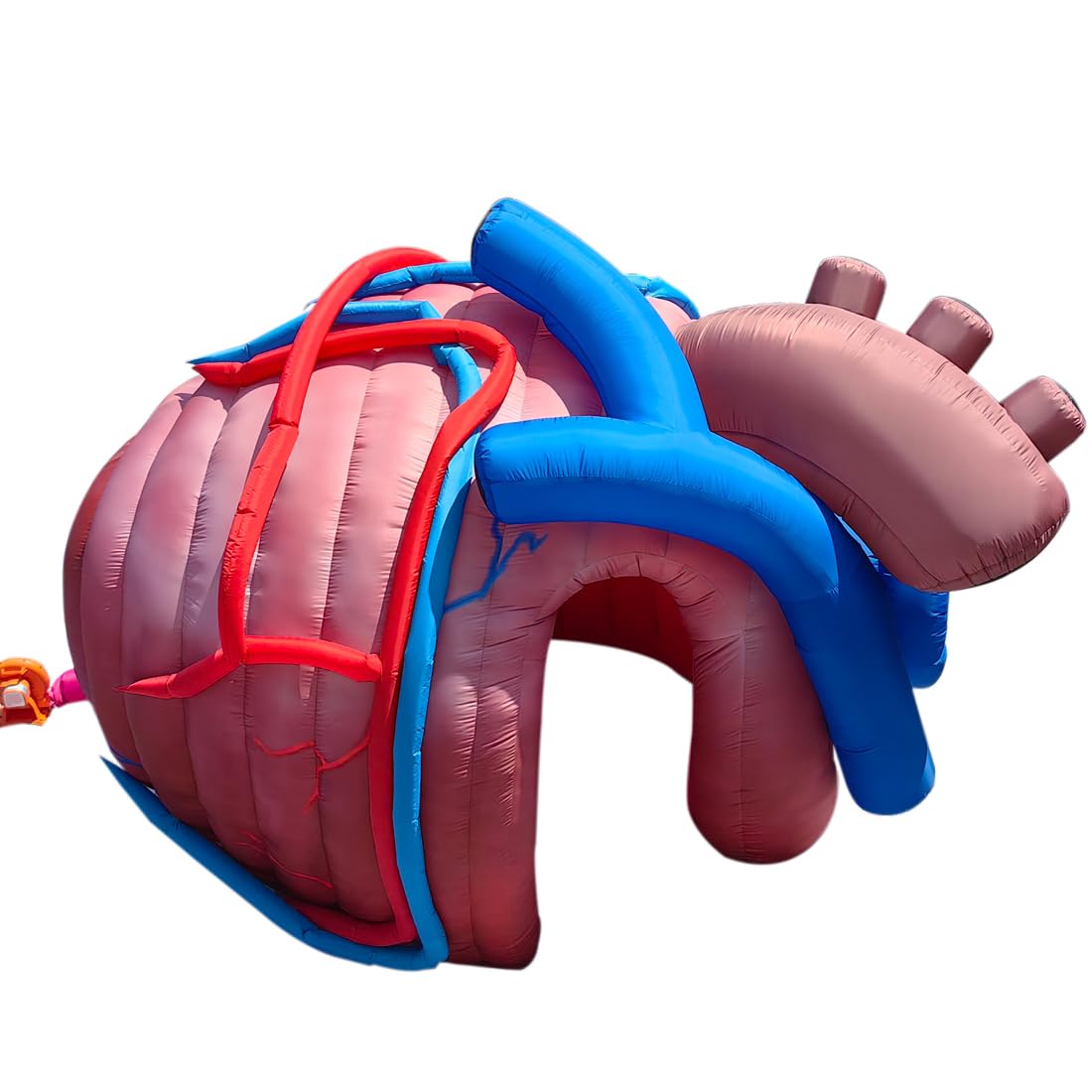 Outdoor Inflatable Human Heart Model Replica Tent, 13ftx10fx9ft Heart Inflatable Medical Exhibit with Blower, for Halloween, Educational Medical Exhibit