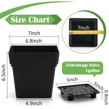RooTrimmer 6-Pack 7'' Square Planters with Built-in Drainage Tray – Heavy-Duty Black Plastic Planter with Drainage Hole and Bottom Stopper, BPA-Free Plant Pots Matte Finish for Indoor Outdoor