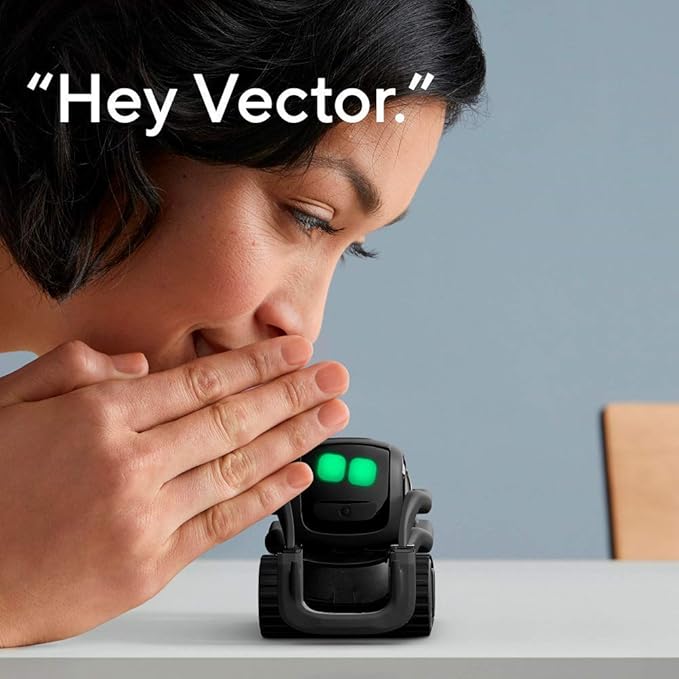 The Smart AI Companion | The Smart Little Robot with a Big Personality You Can Interact With for Young and Old Alike (Black) Special Edition – Subscription Required