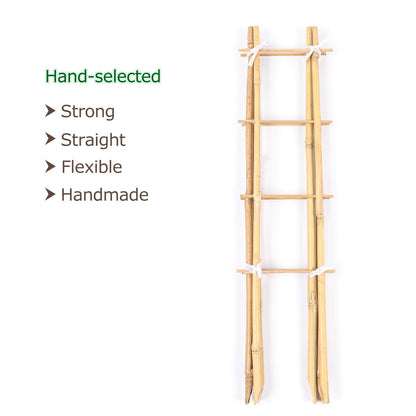 Cambaverd 24 Inch Trellis for Potted Plants, 3 Pack Bamboo Trellis Indoor, Natural Garden Trellis for Climbing Plant Monstera Hoya Vegetables and Fruits
