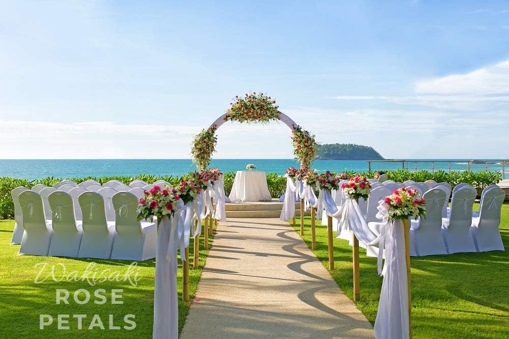 Skiennix Artificial Silk White Rose Petals - Scented & Pre-Separated for Weddings | 1000 Pcs Cream