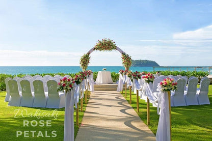 Skiennix Artificial Silk White Rose Petals - Scented & Pre-Separated for Weddings | 1000 Pcs Cream