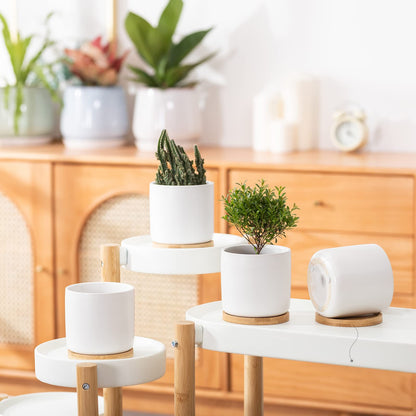 OMAYKEY 4 Inch Ceramic Plant Pot with Saucer, White Planters Pots with Drainage Hole and Mesh Pads for Succulent, Snake, Cactus, Herbs - 4 Packs(Plant Not Included)