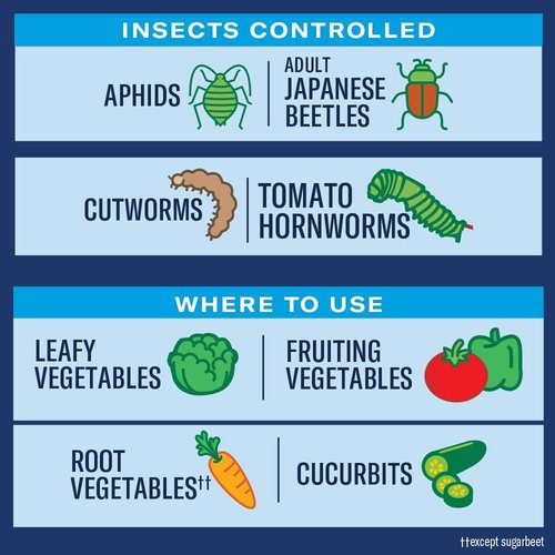 BioAdvanced Tomato & Vegetable Pest Control - Ready-to-Use Insect Killer Spray, 24-Ounce