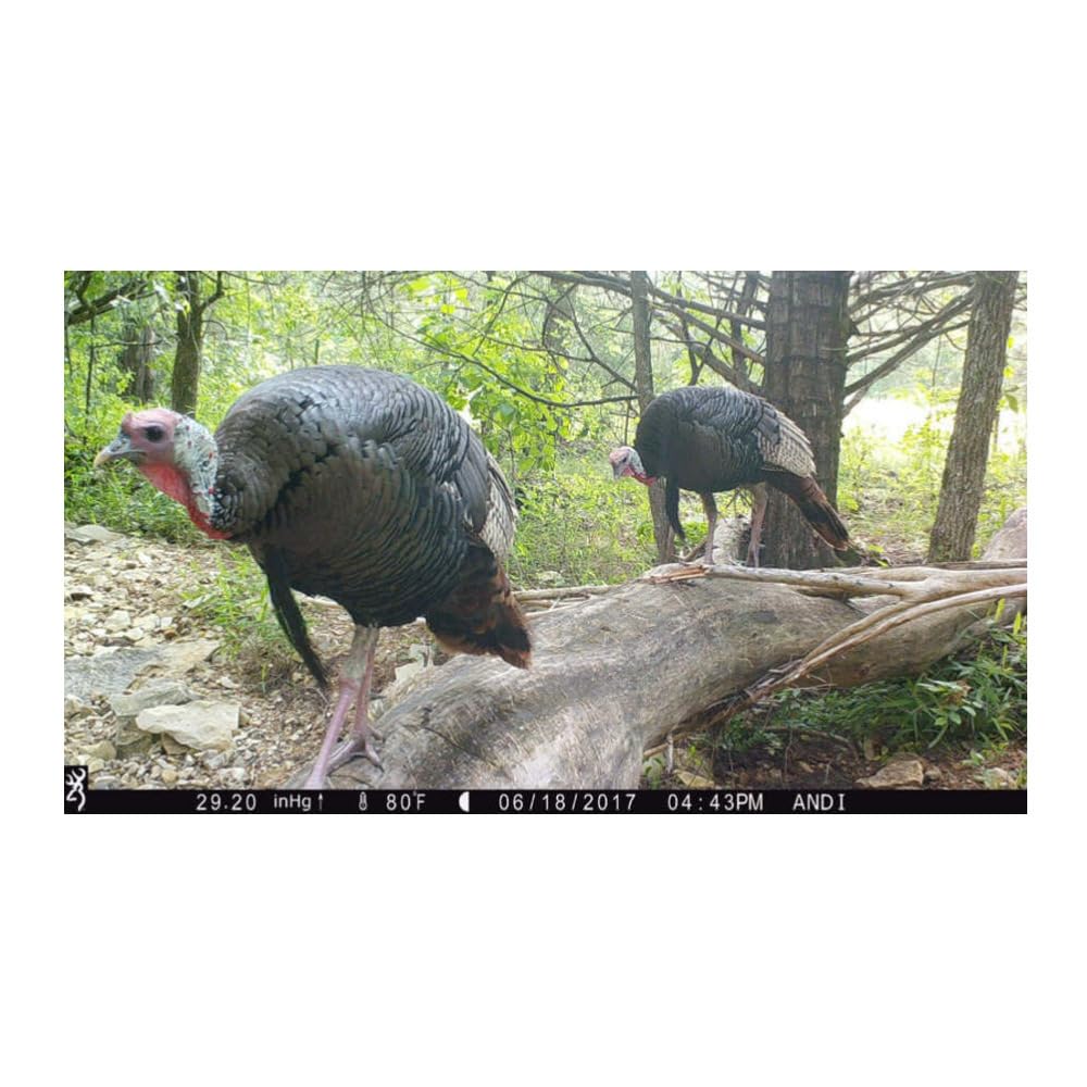 Browning Trail Cameras - Dark Ops Pro X 1080 - BTC-6PX-1080 - Game Camera, Wildlife Motion-Activated Camera