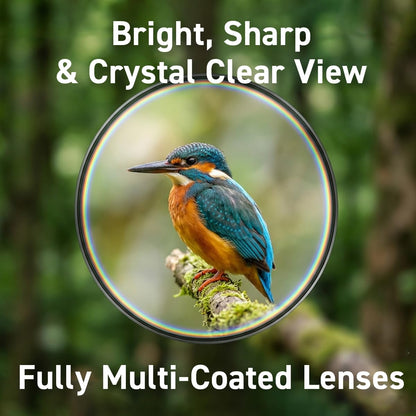 Kenko Binocular Ultraview EX Pocket 8x25, Roof Prism, Lightweight & Compact, IPX7 Waterproof, Made in Japan, 407004