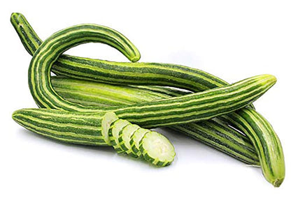 Armenian Striped Snake Cucumber Seeds - 75+ Seeds…