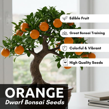 Dwarf Orange Seeds for Planting – 10 Hardy Orange Seeds – Grow Compact, Fruit-Bearing Trees or Bonsai